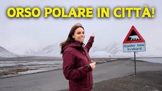 Allarme ORSO POLARE alle SVALBARD! | Longyearbyen