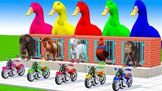 5 Giant Duck, Monkey, Piglet, chicken, dog, dinosaur, Sheep, Transfiguration funny animal 2023