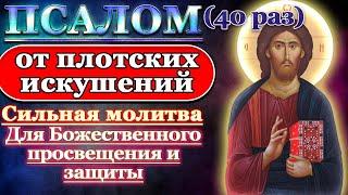 Молитва от плотских искушений, от блуда, для Божественного просвещения и защиты. Псалом 72 40 раз