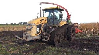 Maïs 2012 | Cat Challenger MT765 op rupsen en dubbellucht met Kemperbek voor de natte percelen