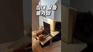 프로필링크 46번에서 확인 가능해요:) #쿠팡꿀템  #접이식 #책상