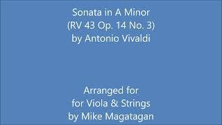 Sonata in A Minor (RV 43 Op. 14 No. 3) for Viola & Strings