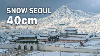 A Day in Gyeongbokgung Palace that has Become a White Kingdom | Seoul Winter Snow 4K HDR