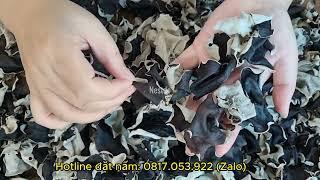 Nấm mèo hay còn gọi là mộc nhĩ khô hàng Việt Nam tai nấm nhỏ nhưng nở rất nhiều
