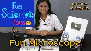 Fun Microscopes: Carson MicroMini