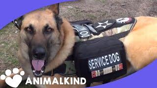 Watch service dog calm war vet's PTSD reaction