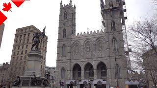 Notre-Dame Basilica of Montreal, Canada【Montreal Must-Visit Attractions】