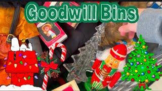 Goodwill Bins Trip | Glass Christmas Tree & San Marcos Blanket & Halloween | Spent $29