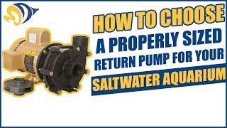 How to Choose a Properly Sized Return Pump for Your Saltwater Aquarium