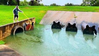 EXTREME CITY FLOODING brings out the GIANT FISH!!!