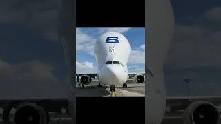 Airbus Beluga is hungry #airbus | video credits to @Mraviationguy, @walkbyfeet and @ElwynR SUBSCRIBE