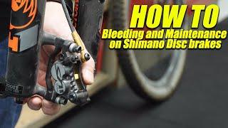 Bleeding and Maintenance on Shimano Disc brakes - Mountain Bike Action Magazine