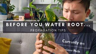 How to Root in Water | Common Water Propagation Questions Answered! | Plant Care Tips | Ep 121