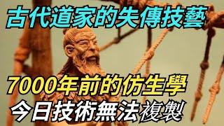 古代道家的失傳技藝，7000年前的仿生學,今日技術無法複製【繁華五千年】#歷史#歷史故事#歷史人物#史話館#歷史萬花鏡#奇聞#歷史風雲天下