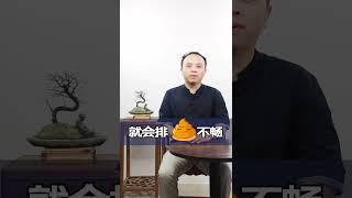 敲带脉 瘦肚子#胆经#带脉#穴位#瘦肚子#健康#中医