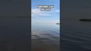 Full video is live #prespawn #bigbassenergy #basslures #bass #largemouthbassin #boating