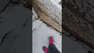 More snow for Wales today #homevlog #denbigh #snow #newstoday #weather #ukraine