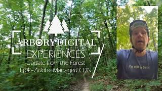 Adobe Managed CDN & Experimental Redirects for AEM | Arbory Digital Update from the Forest