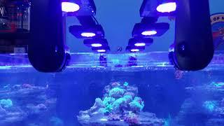 New Red Sea Reef LED 90 first look and frag swap this weekend