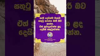 #positivity #quotes #sinhala #srilanka #danathmakachinthanaya #lifecoachmadushawickramasinghe