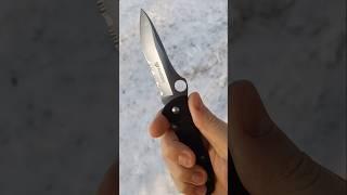 Everyday Spyderco. Terzuola Starmate.