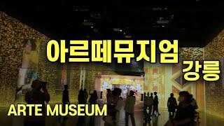 아르떼, 아르떼뮤지엄, 강릉아르떼뮤지엄, ARTE MUSEUM GANGNEUNG,아르떼뮤지엄강릉,몰입형미디어아트전시관, 아이들에게 미래를 꿈꾸게 하는 공간,