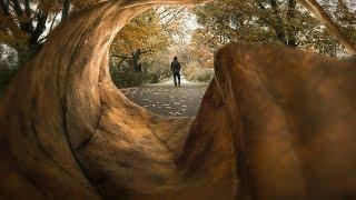 EASY Creative FALL PHOTOGRAPHY idea!