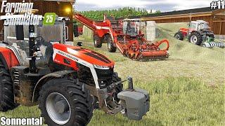 COMPACTING BUNKER SILO AND HARVESTING POTATOES│Sonnental│FS 25│11