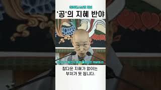 부처님의 어버이 공의 지혜 반야바라밀 #청화스님