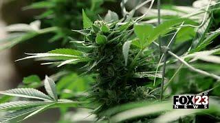 Video: Tulsa community reacts to possibility of legalizing recreational marijuana | FOX23 News Tulsa