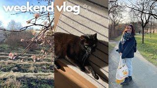 Weekend vlog: simple days - The Simplicity Vlog #6