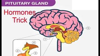 Trick Pitutary gland hormones