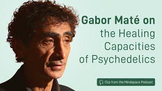 Dr. Gabor Maté on The Healing Capacities of Psychedelics | A Mindspace Podcast Clip