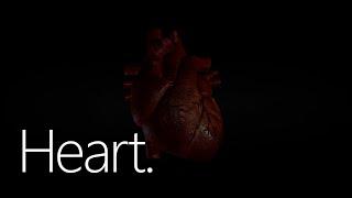 What does "heart" mean?  - Spiritual Insights