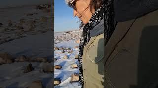 Mary's Labrynth is a meditation path near Val Marie, Saskatchewan, bordering Grasslands NP