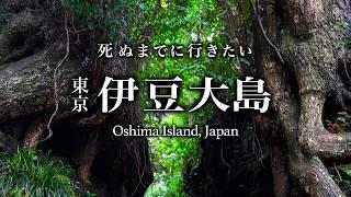 【本当は教えたくない】伊豆大島ひとり旅。東京から25分で行ける火山島が温泉・グルメとコスパ最高すぎた！【伊豆諸島・オススメ・旅行・観光】