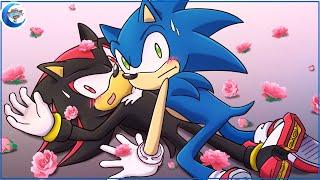 It's NOT what it looks like! - Sonic x Shadow...Generations(?) Animation