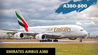 Emirates Airbus A380 Economy Class Flight Vlog London to Dubai | World's Biggest Passenger Aircraft