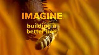 Building A Better Bee  #shorts