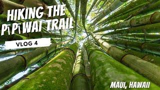 Pipiwai Trail Hike to Waimoku Falls & the Waianapanapa Coastal Trail