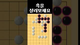 쉬운 바둑 사활 - 절묘하게 살려보세요