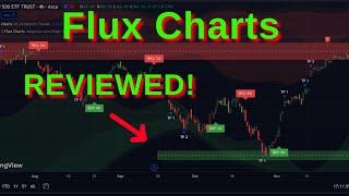 Flux Charts REVIEW (REAL USER)