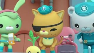 Octonauts: Sea Creature Discovery 2
