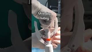 Quá đẹp luôn!