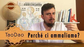 Medicina Orientale - Perché ci ammaliamo?