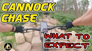 Cannock Chase MTB Trails - What To Expect