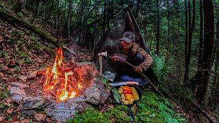 Building a Shelter, COOKING OVER open FIRE while heavy RAIN!