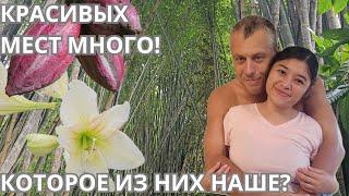 Где начнётся наша история: ищем землю для дома