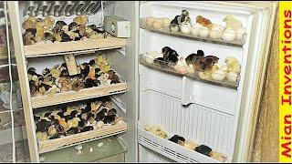 Egg hatching in old Refrigerator ( fridge ) Complete Video - Hatched 200 Chicks