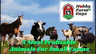 The 5 Most Profitable Animals for Small Farms